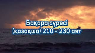 :    . 210-230 .    ,  .