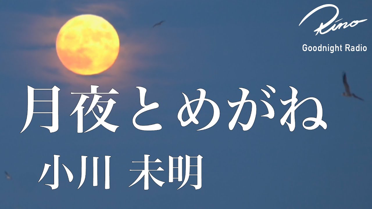 月夜 と めがね