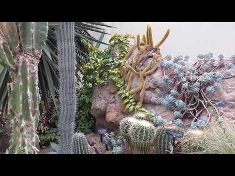 World Deserts exhibit at the United States Botanic Garden (Washington, DC) camera iphone 8 plus apk