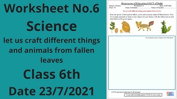 Worksheet 6 Science class 6(23/7/21) English Medium / Science class 6/Science worksheet 6 class6