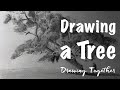 Leaf it Alone | Drawing a Tree