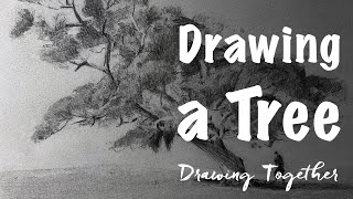 Leaf it Alone | Drawing a Tree