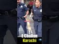 Cat Caught Stealing, Gets E-Challan in Karachi 🐱