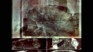 Imaginary Forces - The Jungles of Logic (15M OHM)