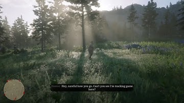 Hunter Random Encounter Red Dead Online