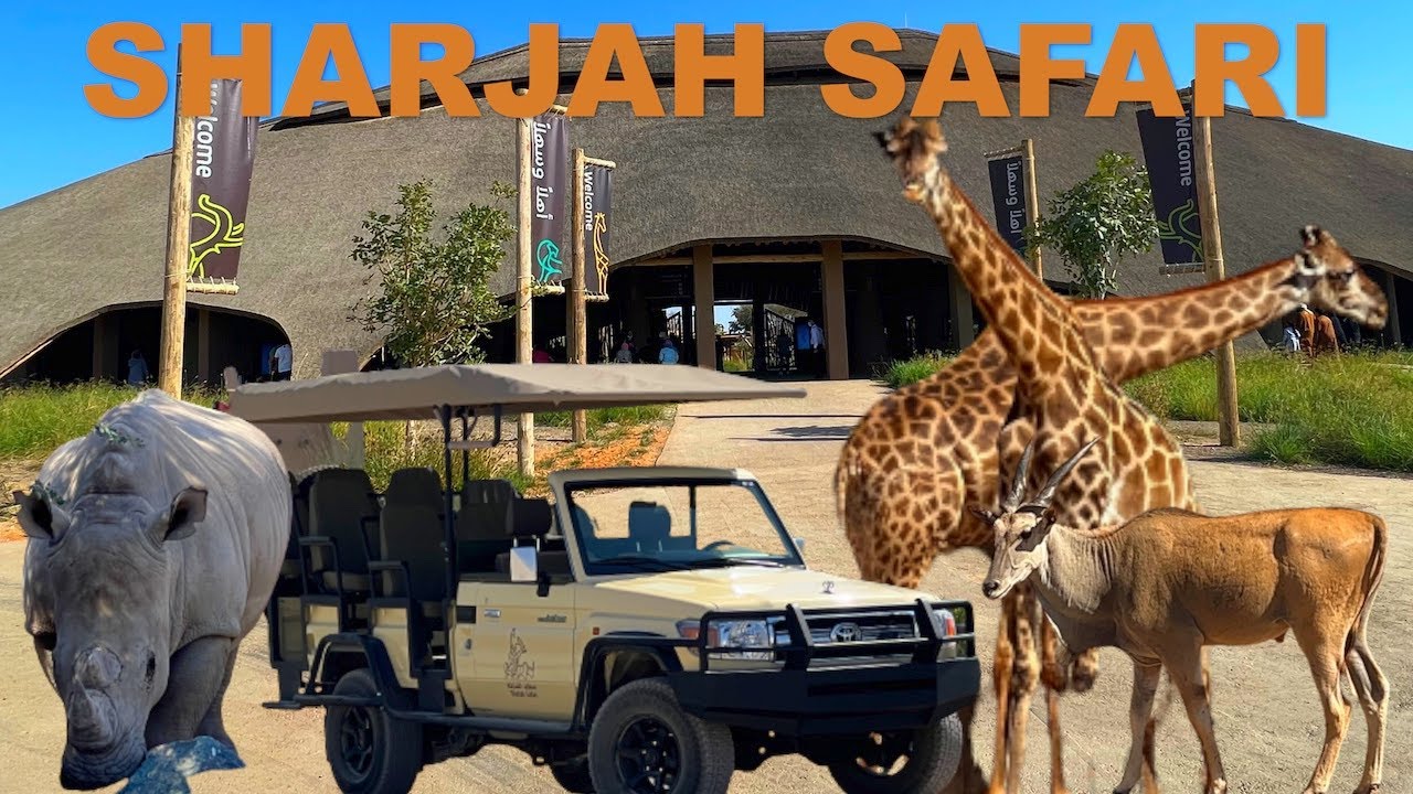 zoo safari sharjah