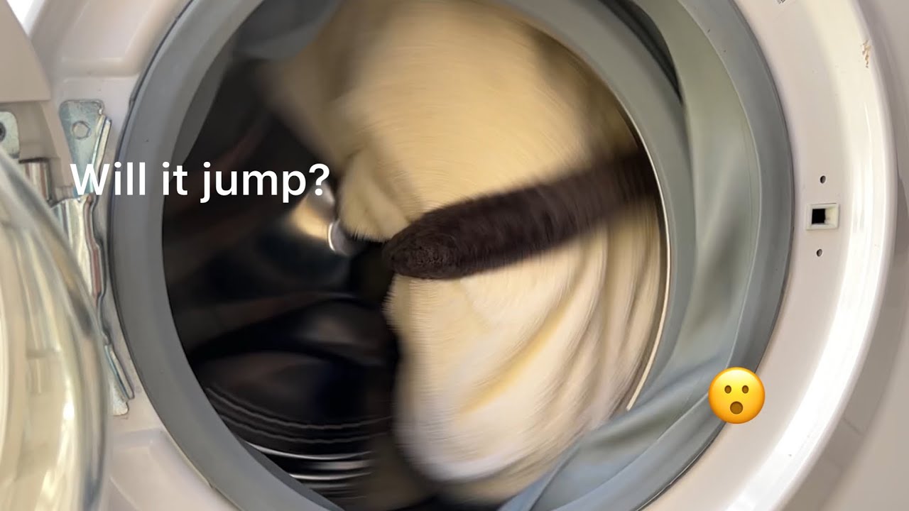 Hotpoint slim | 4L test!