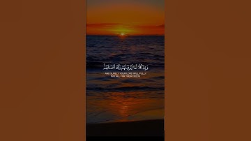 قرأن كريم بصوت الشيخ خالد الجليل تلاوه تهز القلوب ❤❤🌹