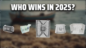 The Top 5 Best Pinfish Trap in 2025 - Must Watch Before Buying!