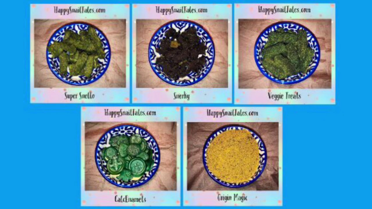 Happy Snail Tales Mystery Snail Baby Feeding Time- The Buffet 