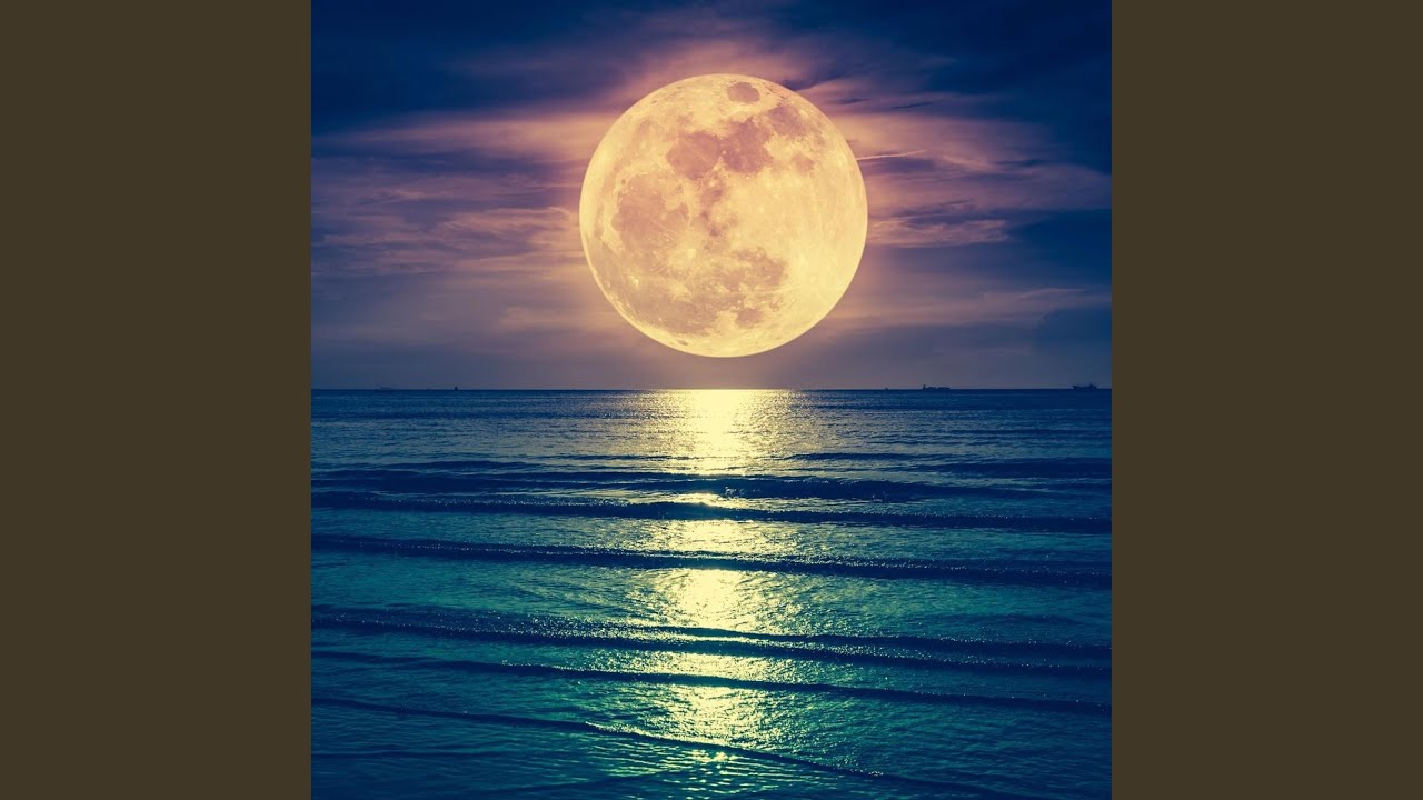 Watch OCEAN MAGIC on YouTube Watch OCEAN MAGIC on YouTube