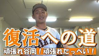 谷岡竜平 たっぺい 復活への道 Youtube