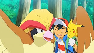 Ash's Final Episode - Pidgeot RETURNS - Aim to be a Pokemon Master Episode 11 - Journeys EP 147 AMV