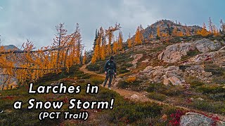 Hiking to see Larches in a Snowstorm! | PCT Trail | North Cascades - Washington | PNW
Join me as I go hiking along the PCT (pacific crest trail) out in the North Cascade mountains of Washington State in the PNW (pacific northwest), while a snowstorm is beginning to roll in, just to see some larches! :) The larches are always well worth it! :)
#hiking #explorationvisuals #pnw #washington #vlog #pov #northcascades #adventure #explore #mountains #larch #fall #fallcolors #outdoors #nature #naturelovers #wilderness #snow #snowstorm #views #hike #washingtonstate #hikevlog #outside
If you care to see what gear I have for camping and this life:
https://www.explorationvisuals.com/my-gear
Other Ways to Support/View me:
Instagram: https://www.instagram.com/explorationvisuals/
Twitter: https://twitter.com/JJBuchanan30
TikTok: https://www.tiktok.com/@explorationvisuals?lang=en
My Website: https://www.explorationvisuals.com/
My Store: https://www.explorationvisuals.com/shop
Subscribe for more! http://bit.ly/2kEGEi6
Be sure to subscribe so you do not miss any of our adventures together! Youre always invited, and it means the world to have you join me and follow along. :)
GO EXPLORE! Use my hashtag #explorationvisuals
Music in this Video:
N/A Hiking to see Larches in a Snowstorm! | PCT Trail | North Cascades - Washington | PNW