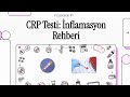 CRP nedir? Neden Yükselir? Nasıl Düşürülür?