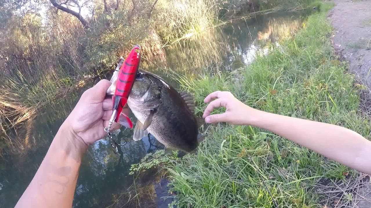 San Jose Bass Fishing October 2017 YouTube