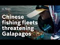 Chinese fishing fleets threatening fragile Galapagos ecosystem