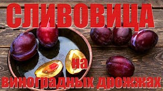Турбо Сливовица на диких виноградных дрожжах. Часть 1. Турбо Сливовица на диких виноградных дрожжах. Часть 1.