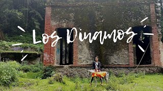 LA RUTA DEL PERRO 'LOS DINAMOS'