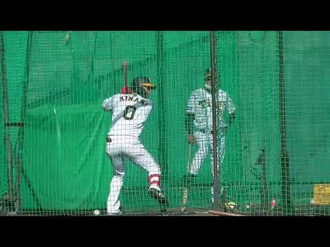 【プロ野球】2022.11.20　阪神タイガース　秋季キャンプ　『ランチ特打』