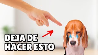 15 FORMAS en las que estás LASTIMANDO a tu perro sin darte cuenta by Zona Perros 8,601 views 6 months ago 11 minutes, 16 seconds