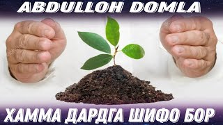 Хамма дардга шифо бор Абдуллоҳ домла | Abdulloh domla #shorts #maruza #ilmnuri #ilmkoni