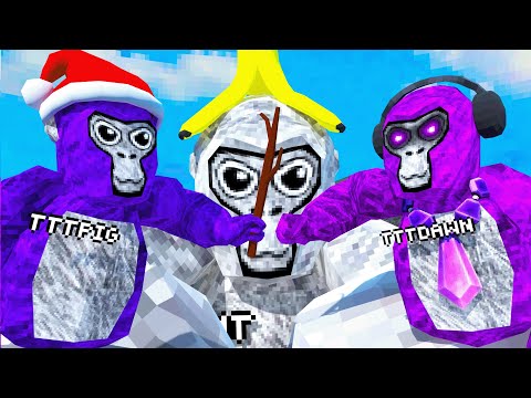 How Is The Best Gorilla Tag Player