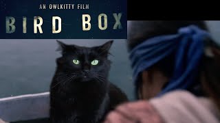 Bird Box - Starring My Cat Owlkitty