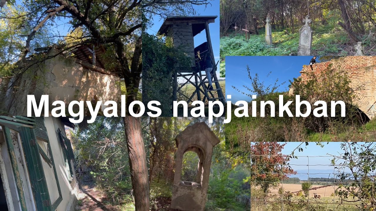 Magyalosi kirándulás