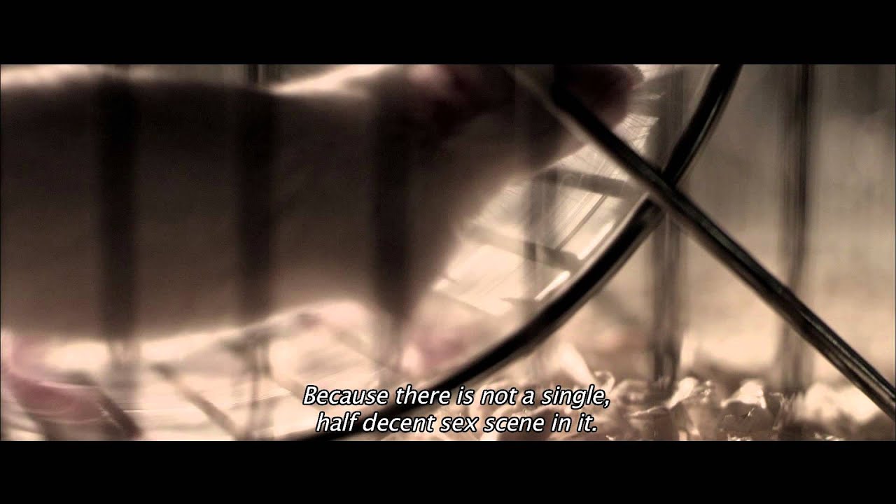 128. SZCZUR [THE 128th RAT] trailer English - YouTube