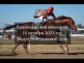 Видео 17 скаковой день 15 10 2023г Краснодарский ипподром