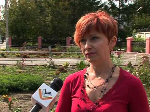 Деловая древесина и земля многодетным семьям