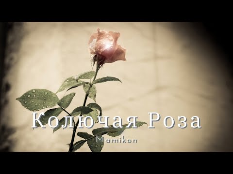 Mamikon - Колючая Роза(текст)