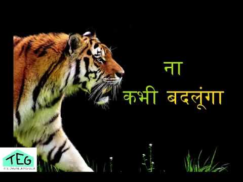 Best Boys Attitude Shayari in Hindi| Attitude WhatsApp Status Video Download 2021,Motivation  Status