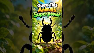 What's the Bug with a Secret Jumping Power 🤫 #insects #quiz