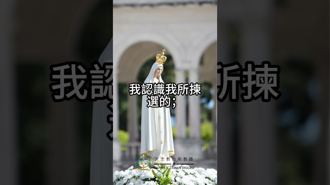 04/30  恭讀聖若望福音　13:16-20   凡接待我所派遣的，就是接待我。