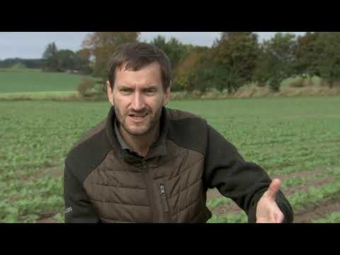 Video: Jordbalsam: Hvordan Man Bruger Et Tilsætningsstof Til At Forbedre Jordens Frugtbarhed, Til økologisk Landbrug Og Genoprette Frugtbarheden