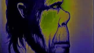 Part 2 Skunk Ape - Animal X