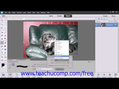Photoshop Elements 12 Tutorial The Impressionist Brush Adobe Training Lesson 6.4