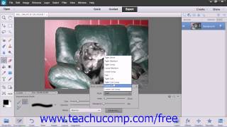 Photoshop Elements 12 Tutorial The Impressionist Brush Adobe Training Lesson 6.4