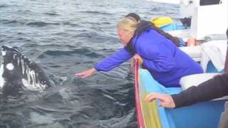 Claire and Angie's Whales in the Baja.m4v