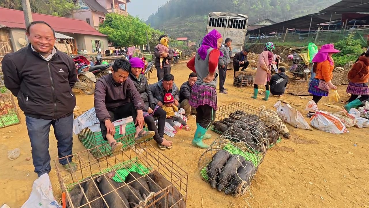 Explore the Border Market and Sell Thousands of Black Waves at the Maảket | Ly Dao ,