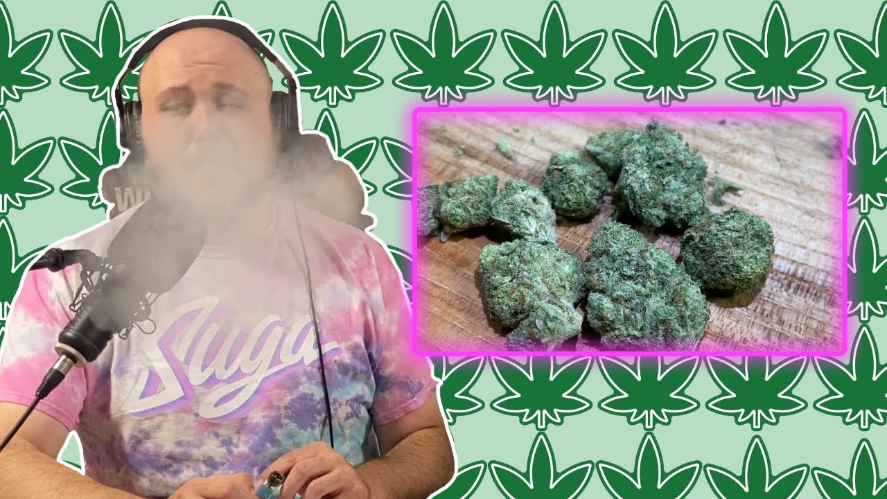 Power Plant Review Sativa Dominant