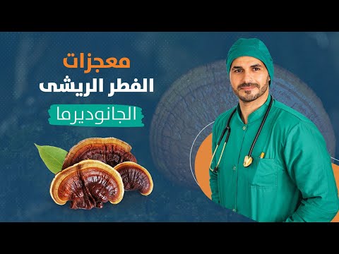 ٨٤- الفطر الريشي _معجزاته وفوائده_ الجانوديرما وطريقة استخدامه  |الحلقه الاولي