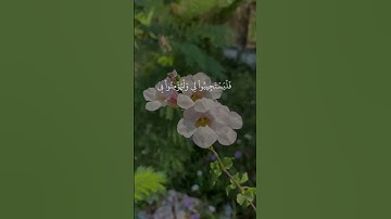 تلاوة تهز القلوب | "وإذا سألك عبادي عني فإني قريب" | الشيخ عبد الباسط عبد الصمد