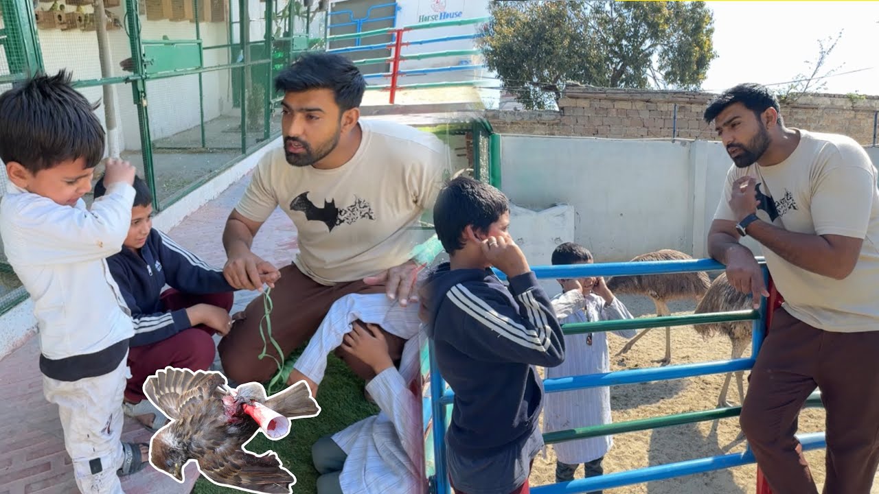 Chirya Pkr Kr Kha Gy 😒 Saza Mili Or Dhamki Bhi