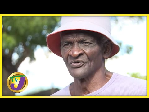 Squatting and Informal Settlements in Jamaica | TVJ All Angles