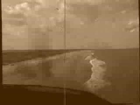 Treetop Flyer