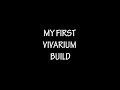 My First Vivarium Build for a Green Basilisk! [Descriptive Subtitles]