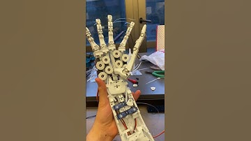 Robot hand test of the servos. #hand # mechatronics #electronic #engineering #robotics